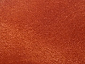 Коняк Primavera 06